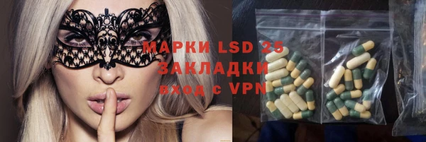 мдпв Горняк