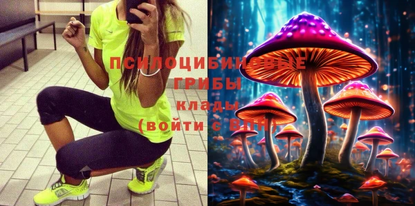 мдпв Горняк