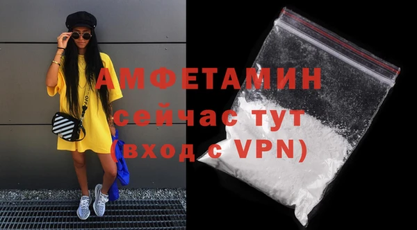 мдпв Горняк