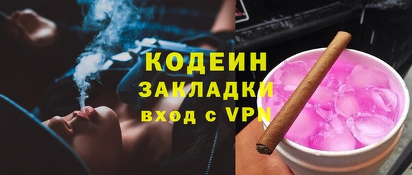 хмурый Горно-Алтайск