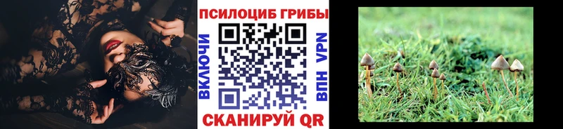 Галлюциногенные грибы мухоморы  KRAKEN tor  Новый Оскол 
